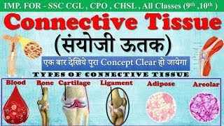 Connective tissue in hindi संयोजी ऊतक  Types of Connective Tissue  ssc campusmp4 [upl. by Htenywg]