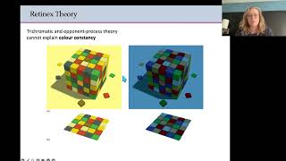 Biopsychology  Colour theories [upl. by Rotkiv]