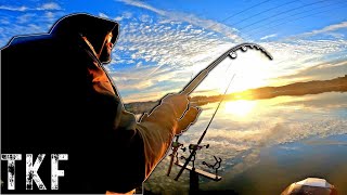 CATFISHING FOR DUMMIES  Easy Steps To Catch Catfish FAST [upl. by Mara]