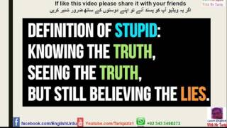 Definition of stupid [upl. by Little]