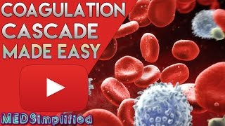 Coagulation Cascade SIMPLEST EXPLANATION  The Extrinsic and Intrinsic Pathway of HEMOSTASIS [upl. by Dirraj]