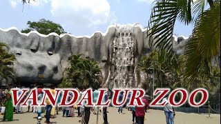 Vandalur Zoo  Arignar Anna Zoological Park [upl. by Glovsky405]