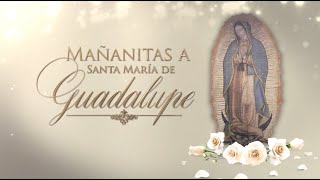 Mañanitas a la Virgen de Guadalupe 2022 Televisa [upl. by Tra709]