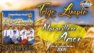 Trigo Limpio  Maravilloso Amor Album Completo [upl. by Fiertz941]