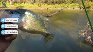 NOT EXPECTING THE CRAPPIE TO BITE THIS HAPPENS [upl. by Cardie]