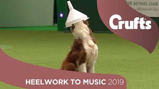 Freestyle International Heelwork to Music  Part 1  Crufts 2019 [upl. by Janey]