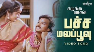 Pachamala Poovu Song  Kizhakku Vaasal Movie  Karthik  Revathi  Ilaiyaraaja Sathya Jyothi [upl. by Ziul]