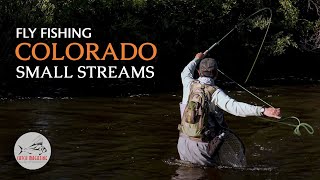 Colorado Fly Fishing  Small CREEK Trout Fishing [upl. by Monaco912]