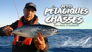 Stratégie de pêche sur chasse avec Samir Kerdjou et Guillaume Baylac [upl. by Santini]