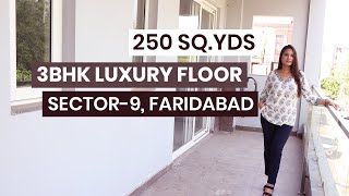 3 BHK New Luxury Builder Floor In Sector 9  Faridabad [upl. by Chernow675]