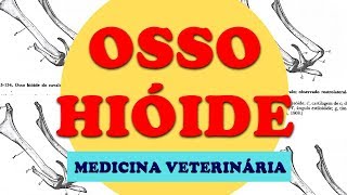 OSSO HIÓIDE OSTEOLOGIA  Medicina Veterinária [upl. by Lane404]