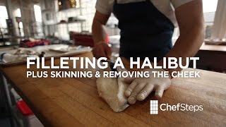 Filleting a Halibut plus skinning and removing cheek [upl. by Keese]