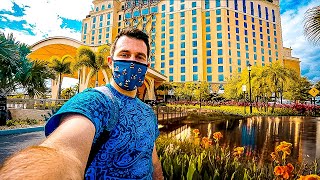 Checking Into Disneys Gran Destino Tower  Room AND Resort Tour [upl. by Mac]