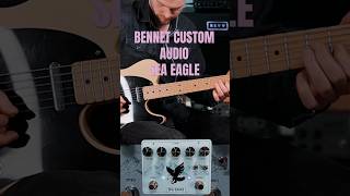 Bennettcustomaudio guitarist fender guitarpedals guitarra pedalboard guitarplayer guitar [upl. by Katy]