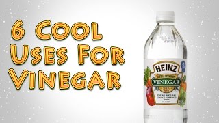 6 Cool Uses for Vinegar [upl. by Rinee]