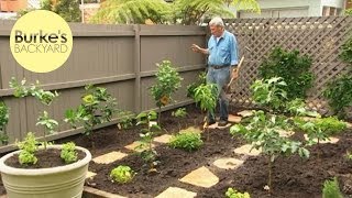 Burkes Backyard Dwarf Fruit Tree Makeover [upl. by Niawtna]