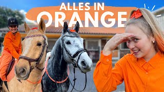 ALLES IN ORANGE [upl. by Renick]