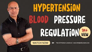 Hypertension  Blood Pressure Regulation  Hypotension [upl. by Einaled]