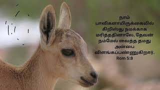 ORU THAAI THETRUVADHU POL  Jebathotta Jeyageethangal  Holy gospel Music [upl. by Manvil]