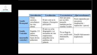 Ruidos Respiratorios normales Explicacion  Auscultacion Semiologia [upl. by Harvie]