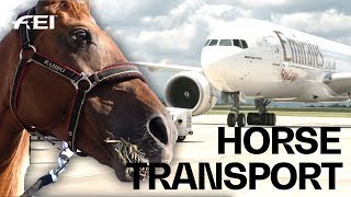 How the horses travel to the FEI World Equestrian Games™  Tryon 2018 [upl. by Michella]