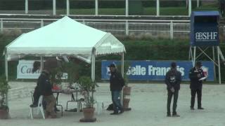 Brantzau Baloubet du Rouet x Carthago  Saut monté Championnat de France mâles de 3 ans [upl. by Erreip324]