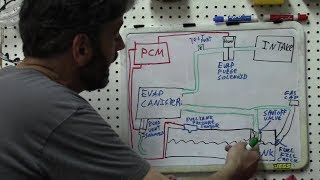 Diagnosis  Understanding EVAP Systems SBQM Full Video [upl. by Akkin]