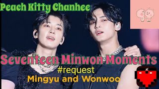 Seventeen Minwon Moments 1  Mingyu and Wonwoo Request [upl. by Akcirederf]