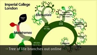 Tree of life branches out online [upl. by Ettenay]