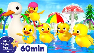 Five Little Ducks Song  More Nursery Rhymes amp Kids Songs  ABCs and 123s  Little Baby Bum [upl. by Aipotu]