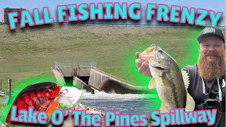 Fall Fishing Frenzy at Lake O’ the Pines Spillway NonStop Action with Crank Baits [upl. by Levison443]