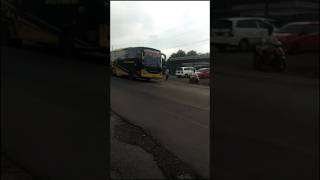 Bus putraluragung jakarta Cirebon jalur Pantura [upl. by Anahsak]