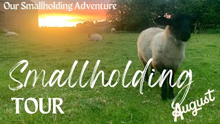 Summer Farm Tour  A Smallholding in England [upl. by Aronoh]