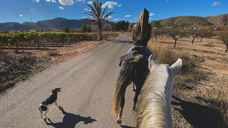 Un Paseo a Caballo y Almuerzo en el Campo [upl. by Lav813]