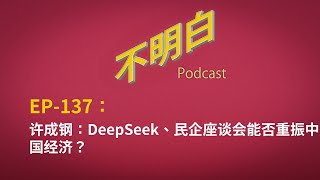 EP137 许成钢：DeepSeek、民企座谈会能否重振中国经济？  习近平  民营企业  马云  任正非  人工智能  AI  梁文锋  A股  通缩  供给侧  美国 [upl. by Yrian337]