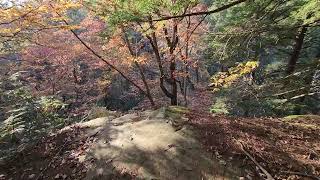 Autumn at Colditz Cove5 [upl. by Banerjee948]