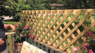 Build A Quick And Easy Trellis For Your Deck [upl. by Atinele]