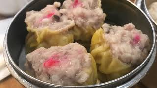 Best Dim Sum in Bostons Chinatown Winsor Dim Sum Cafe [upl. by Nunciata668]