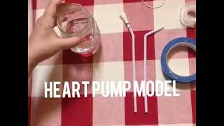 Heart Pump Model [upl. by Adorne543]