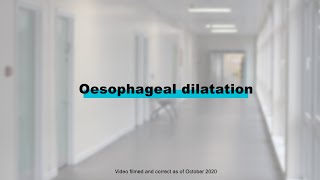 Endoscopy Procedures  Oesophageal Dilatation [upl. by Nawud]