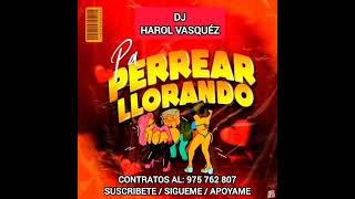 MIX PA PERREAR LLORANDO 2024 CON DJ HAROL VASQUÉZ [upl. by Aicert64]