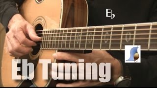 E flat tuning 12 step down for Guitar [upl. by Navad]