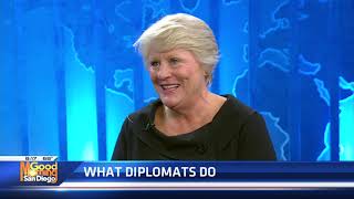 What Diplomats do and why it still matters [upl. by Gibbeon]