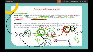 Monosaccharides 3 Anomeric carbon and Anomers [upl. by Neelyar55]