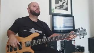 Bass Cover  Tears for Fears  Advice for the Young at Heart Live [upl. by Jaquenette]