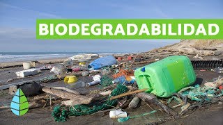 BIODEGRADABILIDAD de los MATERIALES  Productos BIODEGRADABLES [upl. by Varin]