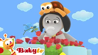 Duizend Rode Rozen 🌹🌹  Liedjes amp Rijmpjes  BabyTV Nederlands [upl. by Rocker]