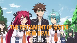 The Testament of sisterNew devil Explained  Anime review [upl. by Zielsdorf]