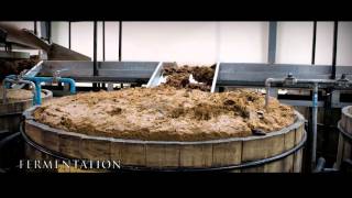 Introduction To Tequila  How Is Tequila Made  Fine Drinks Movement [upl. by Lorolla]