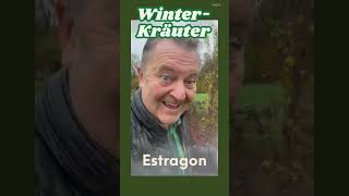 🌱 Winterharte Kräuter – 100 grüne Helden im Garten 💪❄️ winterkräuter garten winterhart [upl. by Aziul897]